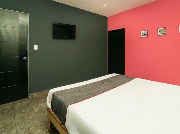 Adhoc Plaza Hotell Monterrey Eksteriør bilde